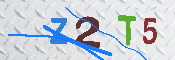キャプチャ画像