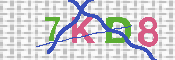 キャプチャ画像