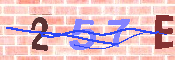 キャプチャ画像