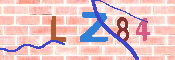 キャプチャ画像