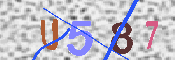キャプチャ画像