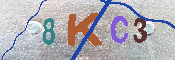 キャプチャ画像