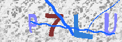 キャプチャ画像