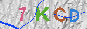 キャプチャ画像
