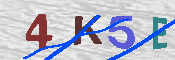 キャプチャ画像
