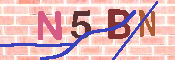 キャプチャ画像