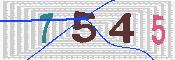 キャプチャ画像