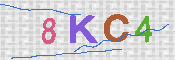 キャプチャ画像