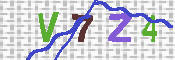キャプチャ画像