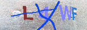 キャプチャ画像