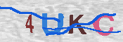 キャプチャ画像