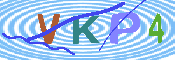 キャプチャ画像