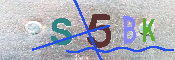 キャプチャ画像
