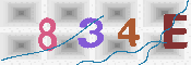 キャプチャ画像