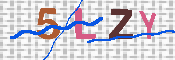 キャプチャ画像