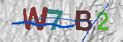 キャプチャ画像