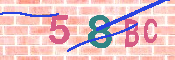 キャプチャ画像