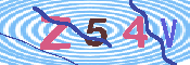 キャプチャ画像