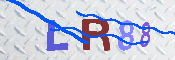 キャプチャ画像