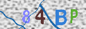 キャプチャ画像