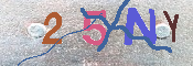 キャプチャ画像