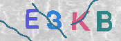 キャプチャ画像