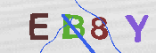 キャプチャ画像