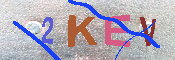 キャプチャ画像