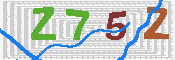 キャプチャ画像