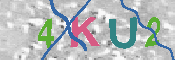 キャプチャ画像