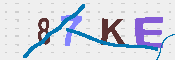 キャプチャ画像