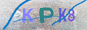 キャプチャ画像