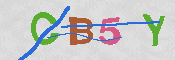 キャプチャ画像
