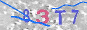 キャプチャ画像