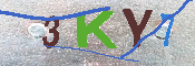 キャプチャ画像