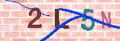 キャプチャ画像