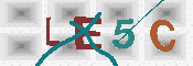キャプチャ画像