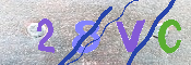 キャプチャ画像