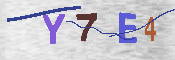 キャプチャ画像