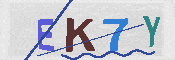 キャプチャ画像