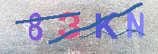 キャプチャ画像