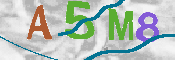 キャプチャ画像