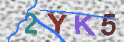 キャプチャ画像