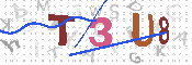キャプチャ画像