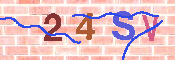 キャプチャ画像