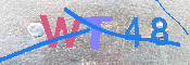 キャプチャ画像