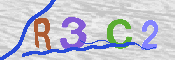 キャプチャ画像