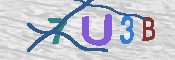 キャプチャ画像