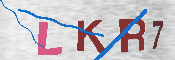 キャプチャ画像