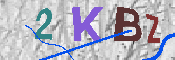 キャプチャ画像